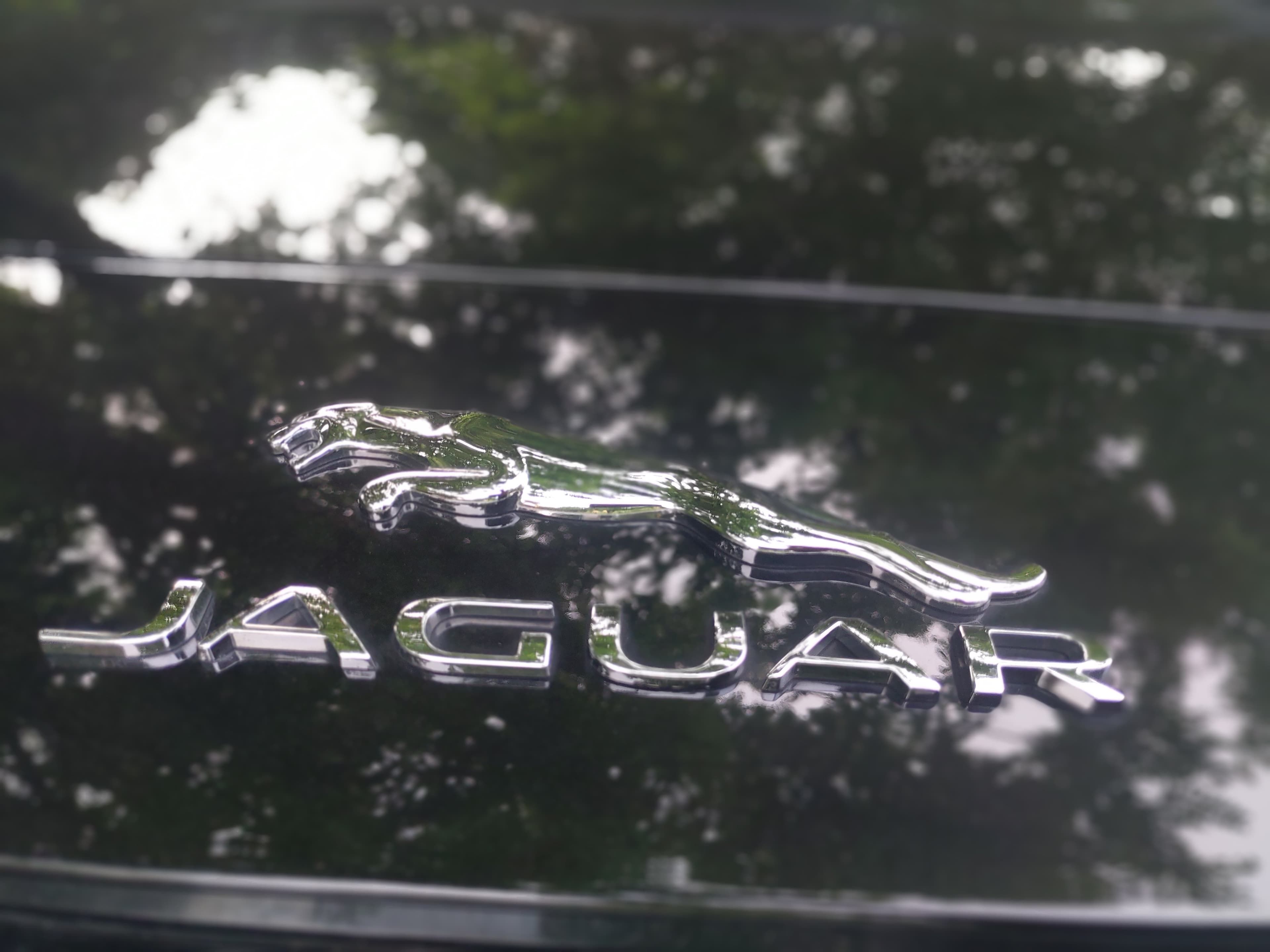 GMC 2019 – IMG_20190830_185238