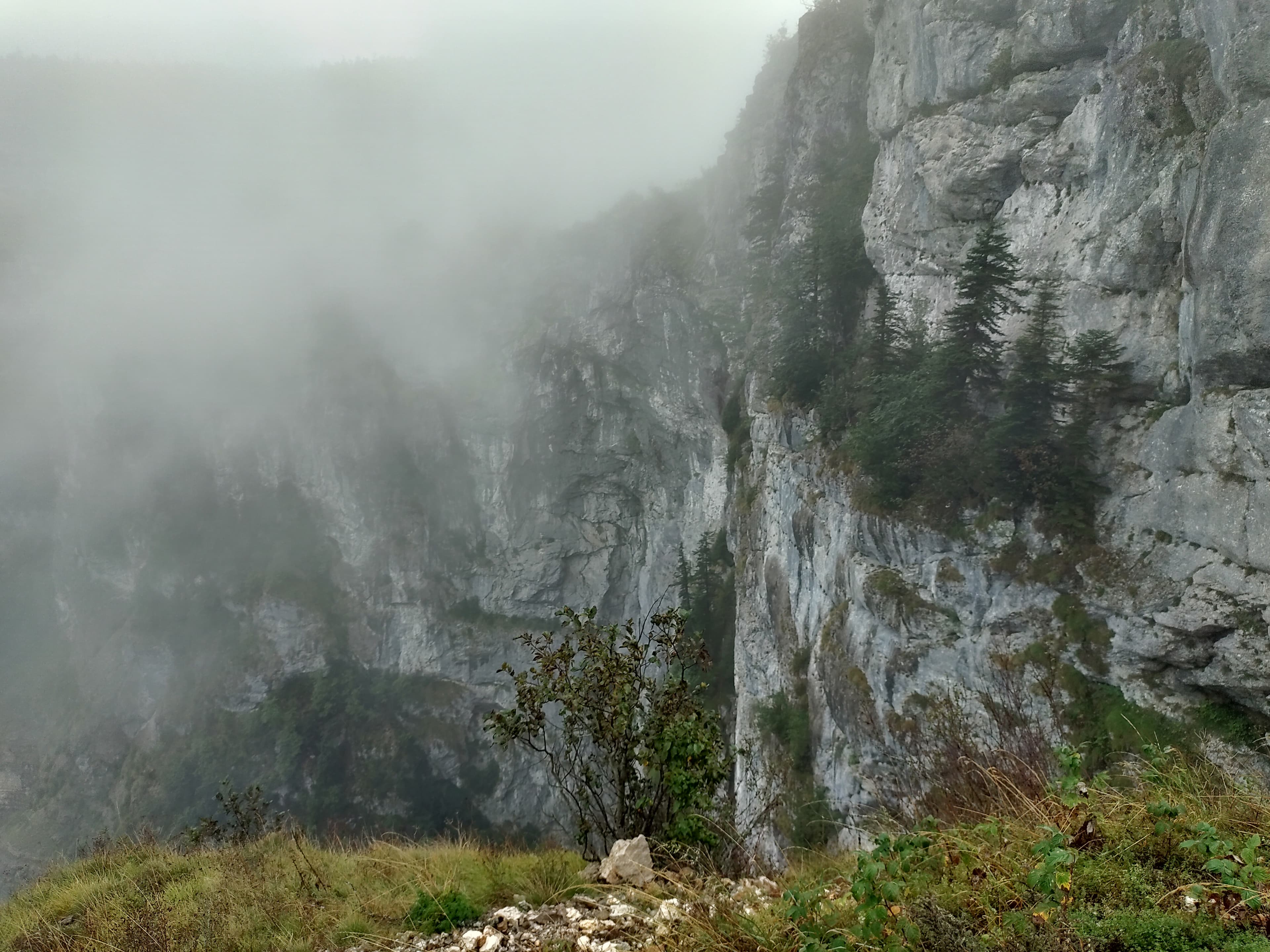 IMG_20210919_105149_hdr