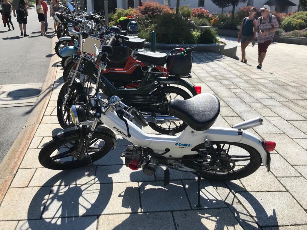 GMC 2023 – WhatsApp Bild 2023-09-11 um 21.03.57